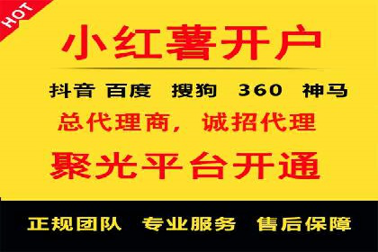 竞价托管服务对比：不同平台的优劣分析